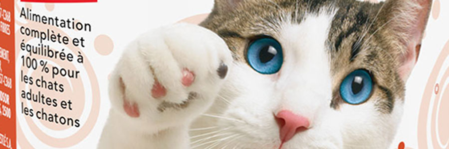NOURRITURE CHAT