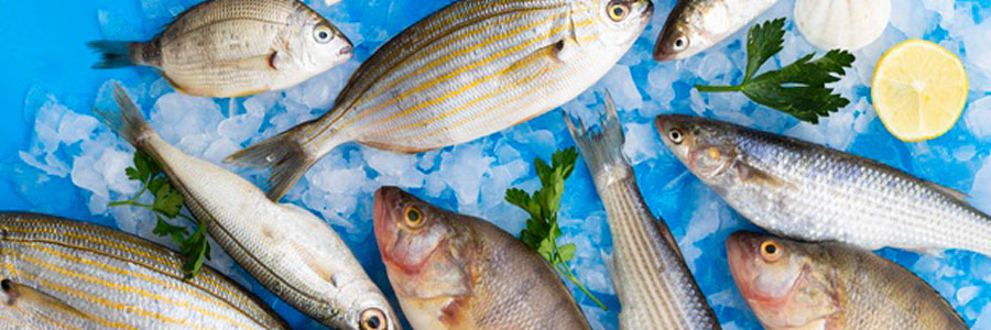 POISSONS