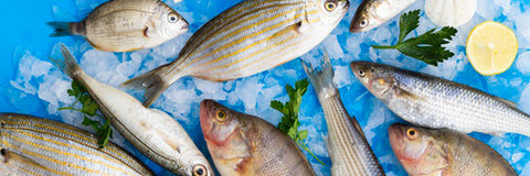 POISSONS