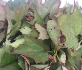 Feuilles d'Oseille. Tas