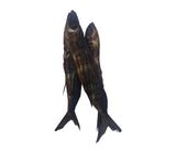Exocet poisson [séché]. Tas