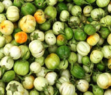 Aubergine verte. Tas