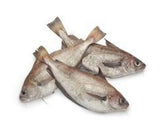 Poisson Barbillon [frais]. 1kg