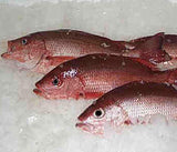 Poisson Red Pacou [surgelé]. 1kg