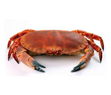 Crabe de mer [frais]. 1kg