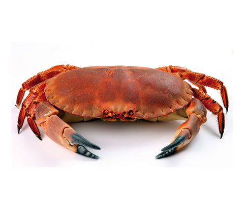 Crabe de mer [frais]. 1kg