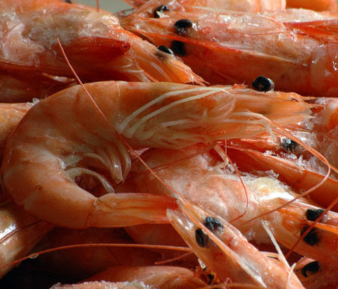 Crevettes [frais]. 500g