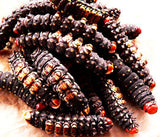 Chenille Kelé [seché]. Tas