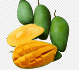 Mangue. Tas