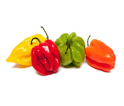Piment. Tas